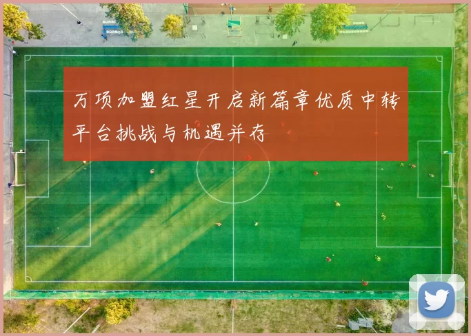 万项加盟红星开启新篇章优质中转平台挑战与机遇并存