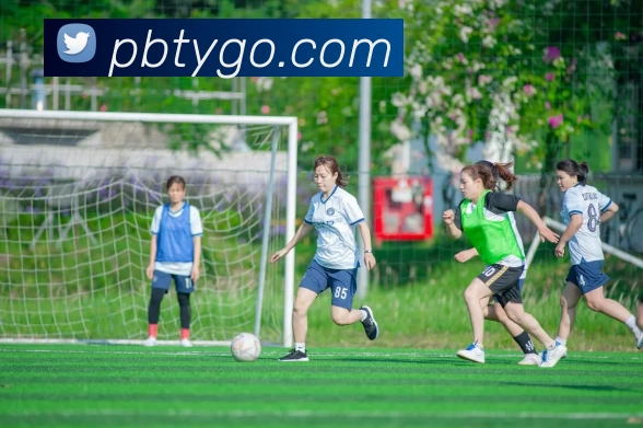 多媒体互动体验